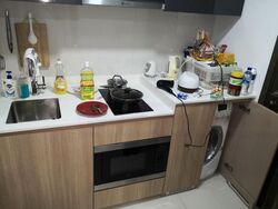 Riverbank @ Fernvale (D28), Condominium #479981761